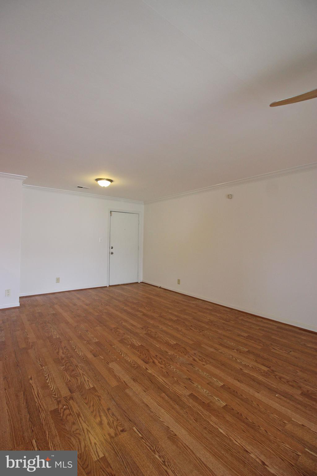 102 CHESTERFIELD LANE 203