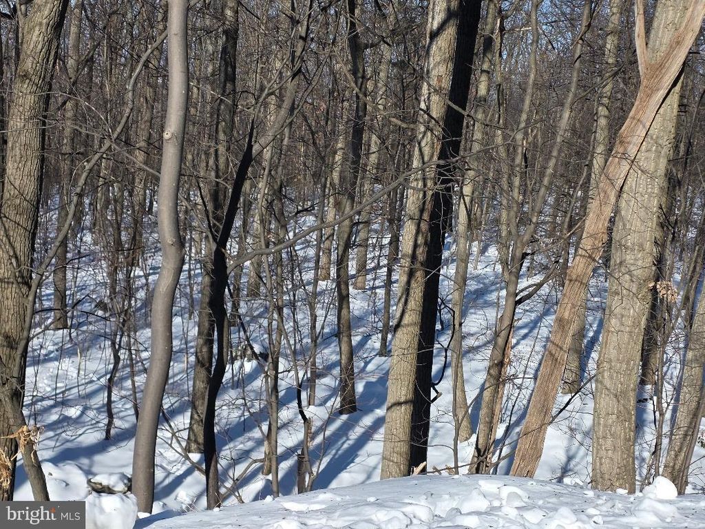 Photo of Morman Church Road, WAYNESBORO, PA 17268 (MLS # PAFL2032380)