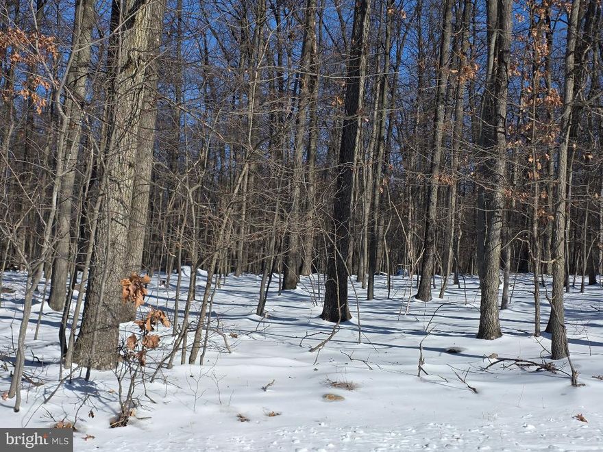 A TIMBER CRUISE WAS PREFORMED BY FORESTER. NOT A CLEAR CUT, LET STAND 12" TREES $68,900.00 ESTIMATED.  PUBLIC WATER HOOK UP AVAILABLE AT TOP OP PROPERTY AT QUINCY TOWNSHIP RIGHT OF WAY. 12 FOOT DEEP. NO PER TEST WAS DONE.