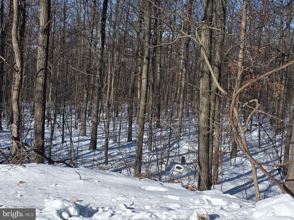 Photo of Morman Church Road, WAYNESBORO, PA 17268 (MLS # PAFL2032380)