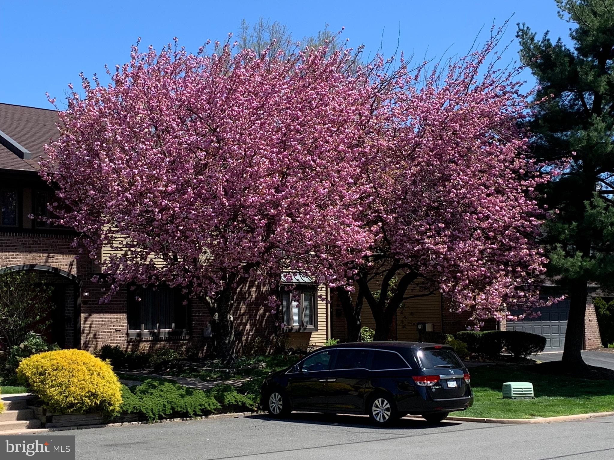 HEADLEY TRACE - Residential