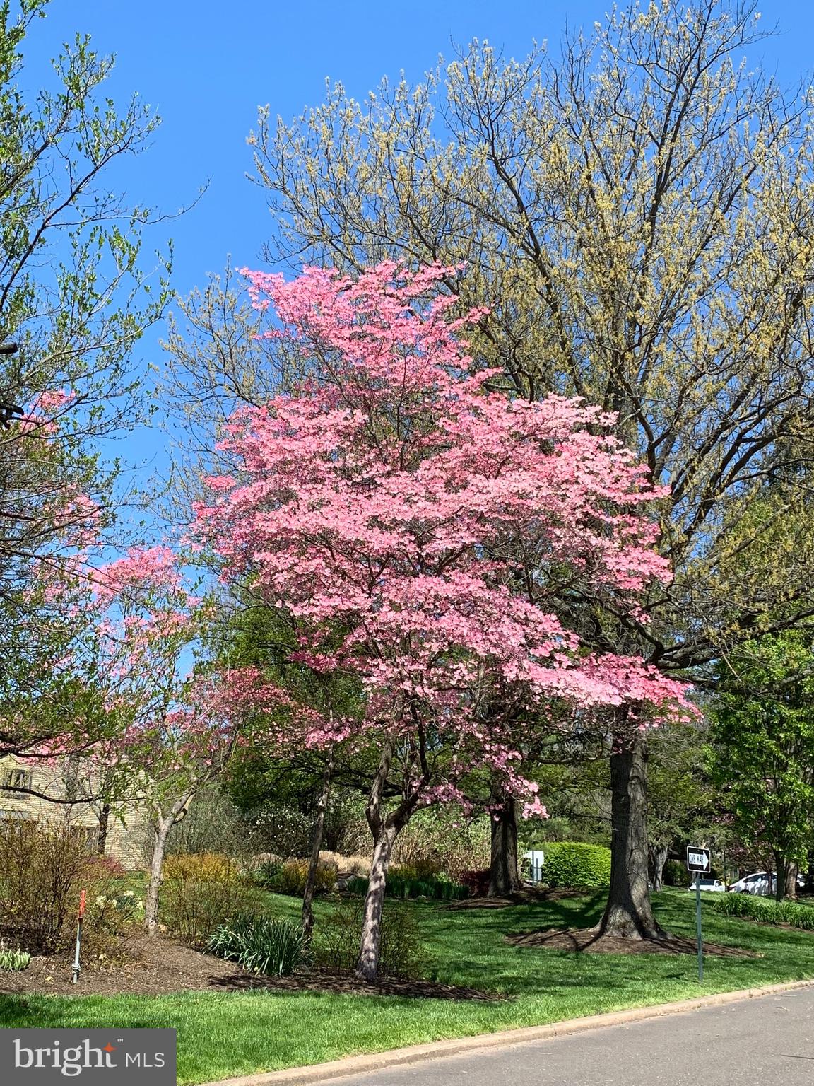 HEADLEY TRACE - Residential