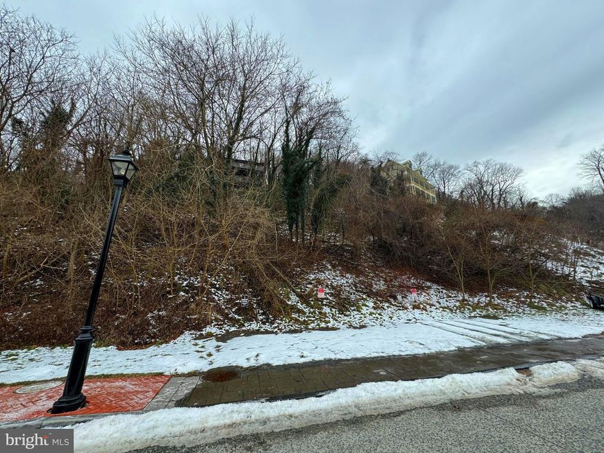 Lot situated in the business district of Harpers Ferry.  Seller confirmed with the town that the lot is zoned commercial. The lot is currently used for parking however there are endless possibilities on what you can do with this lot.  Buyer to do their due diligence to confirm all uses with Harpers Ferry.  Do not miss a rare opportunity to own a lot in this great location.