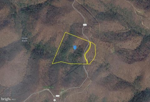 Vacant Land For Sale - 111 Beechy Br Road<br/> DUNLOW, WV 25511