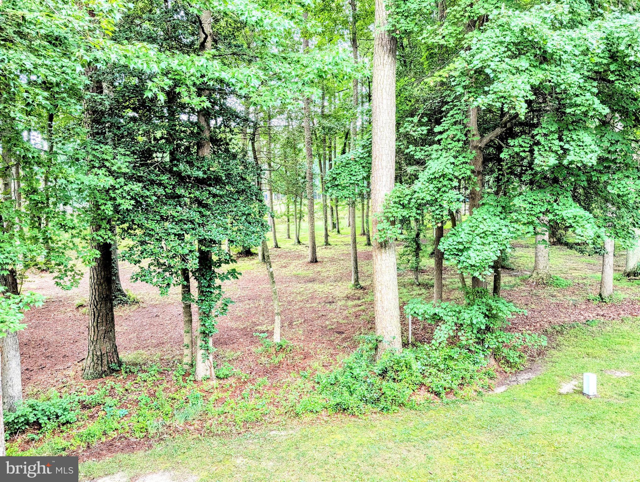 OCEAN PINES - INNERLINKS - Residential