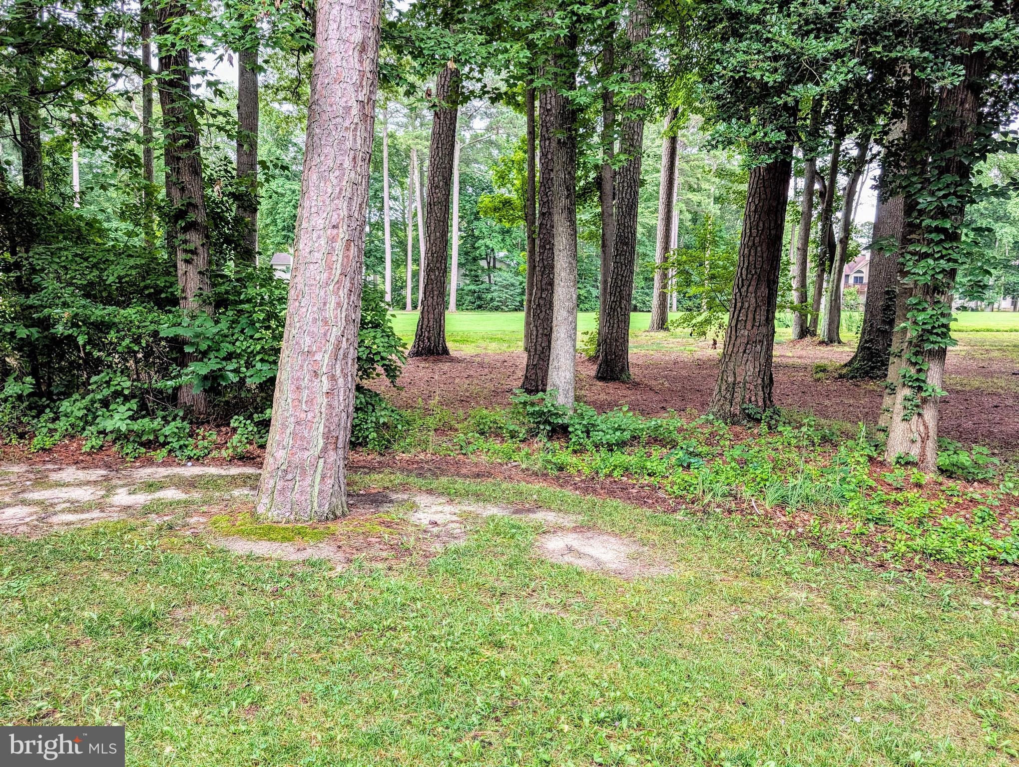 OCEAN PINES - INNERLINKS - Residential