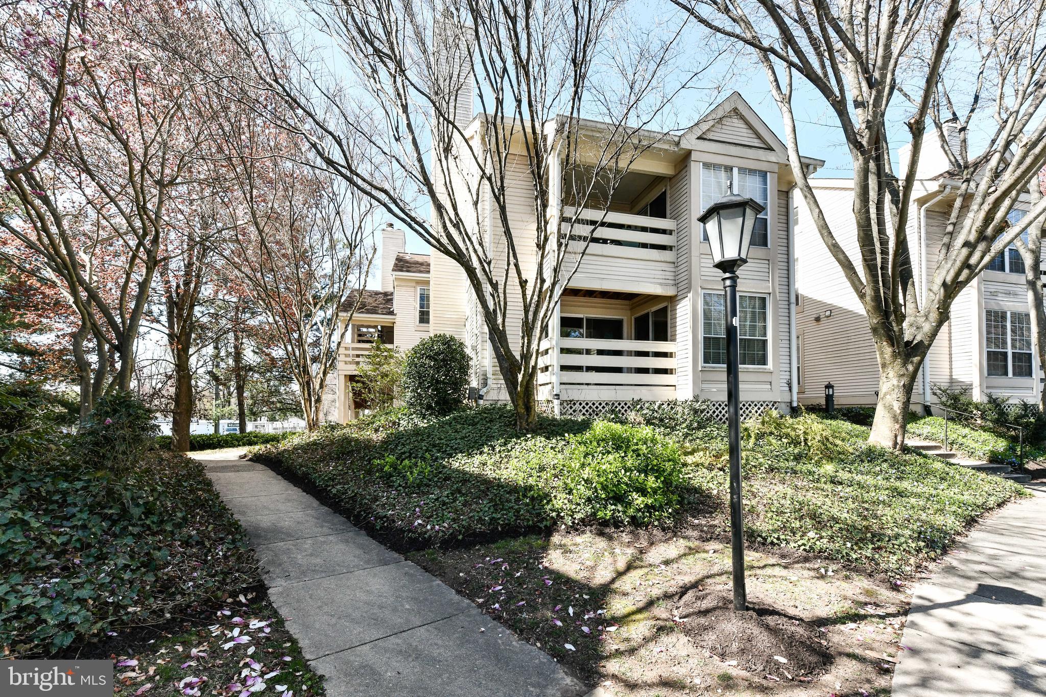 PINECREST - Residential Lease