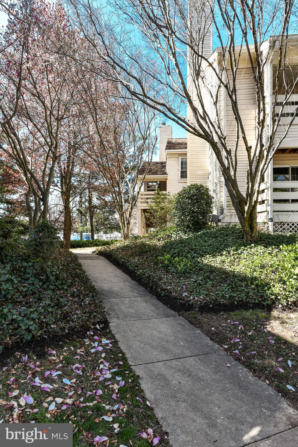 PINECREST - Residential Lease