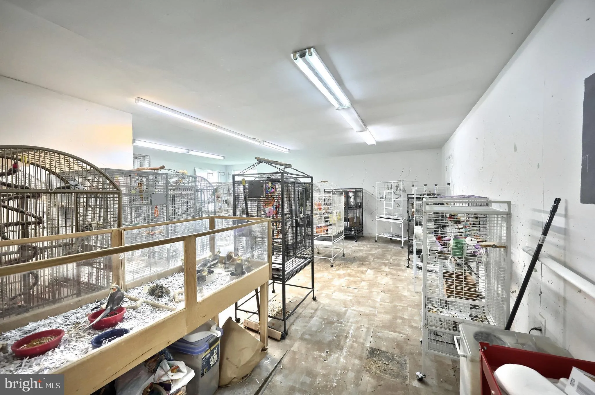 Windsor, Pennsylvania 17366, United States, ,Commercial,Active,153699