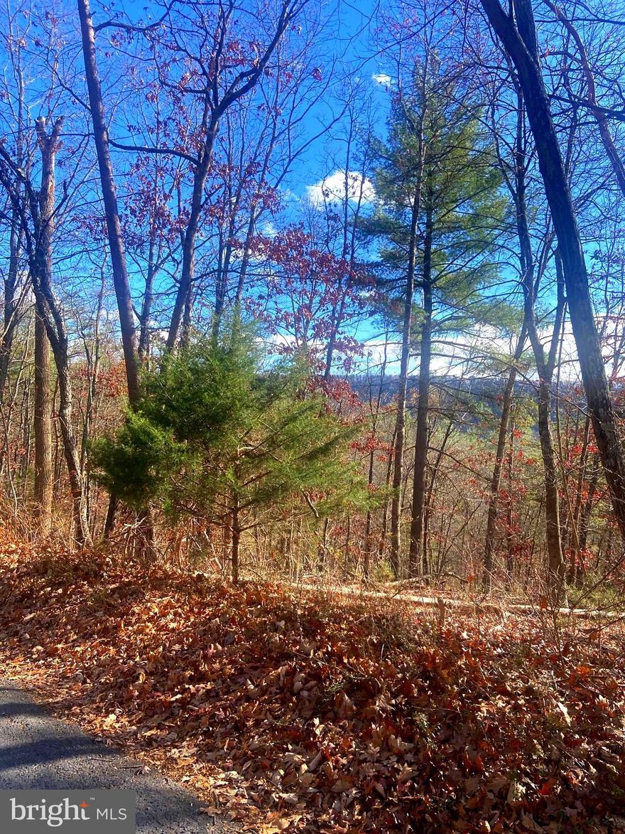 Fantastic Buildable Lot with Mountain Views Near Bryce Resort

Don’t miss this fantastic opportunity to own a gently sloping, buildable lot with stunning mountain views, with direct access to a scenic hiking trail that circles Lake Laura—perfect for fishing, swimming, and kayaking! Just 5 minutes from the slopes and clubhouse at Bryce Resort, enjoy year-round activities including downhill mountain biking, snow skiing, ice skating, snow tubing, pickleball, an 18-hole golf course, driving range, and an indoor heated saltwater pool and fitness center.  The resort recently added four new backside trails for the 2025 season (a green, two blues, and a black) and a new SkyTrac Quad lift, increasing skiable terrain by 35% with full snowmaking support for the expanded area. 

Whether you’re looking to build your dream vacation home, generate income as a short-term rental, or settle in as a year-round resident, this lot offers endless possibilities with NO HOA restrictions.

Bonus Opportunity: An additional 11 lots are available for sale—2 adjoining this lot and 9 adjoining lots nearby—offering even more space to expand your vision.

Seize this rare chance to create your own private retreat in the heart of adventure!