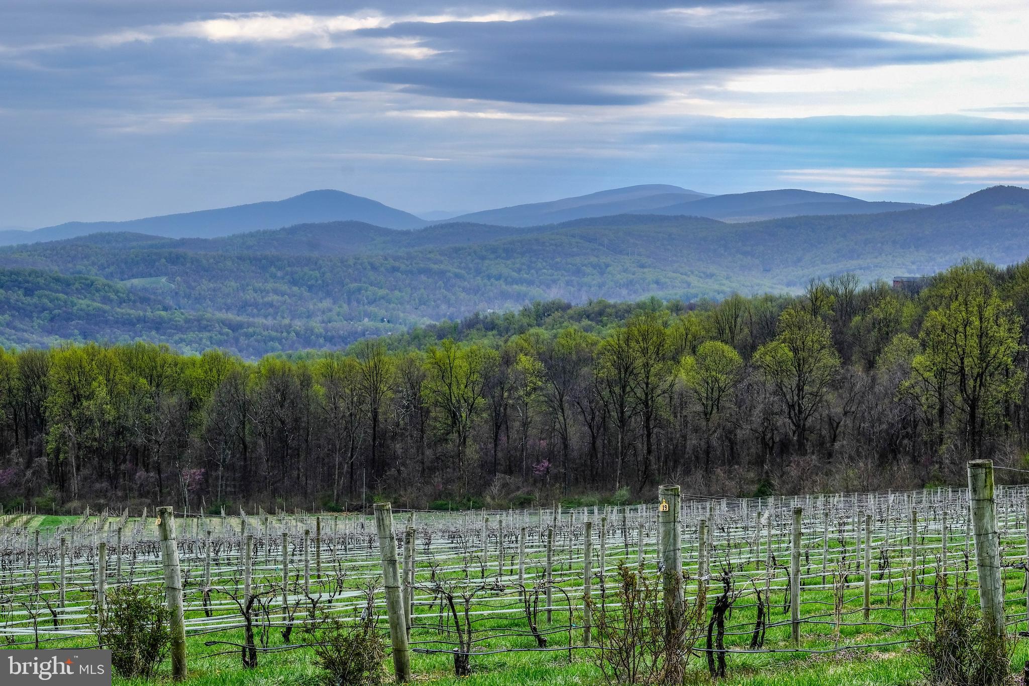 SHEN FARMS MT VIEW - Residential