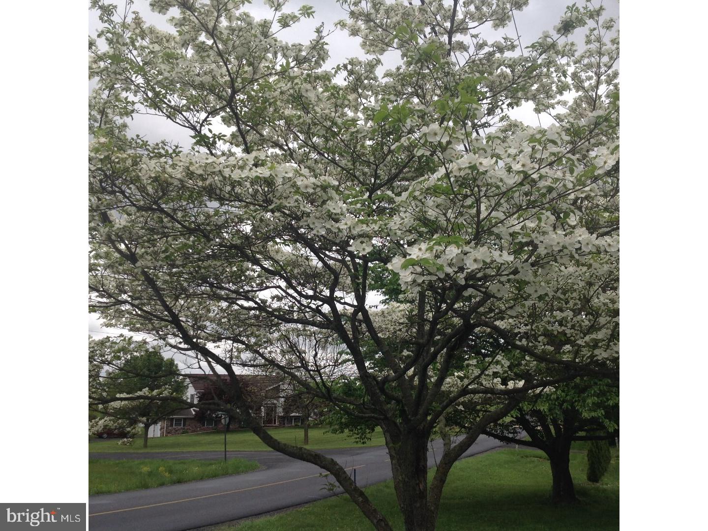 LAKE WYNONAH - Residential