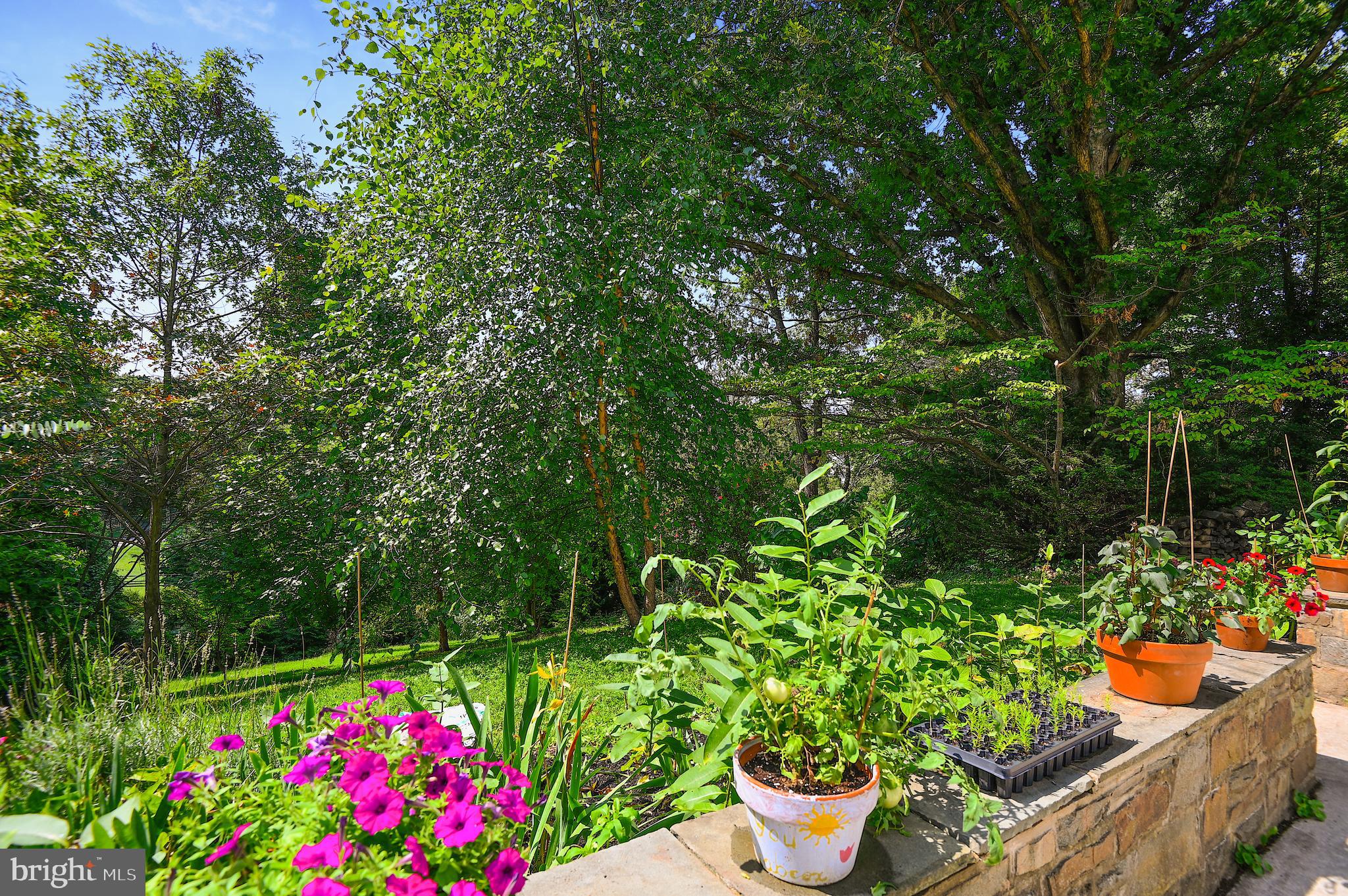 KNOLLWOOD - Residential