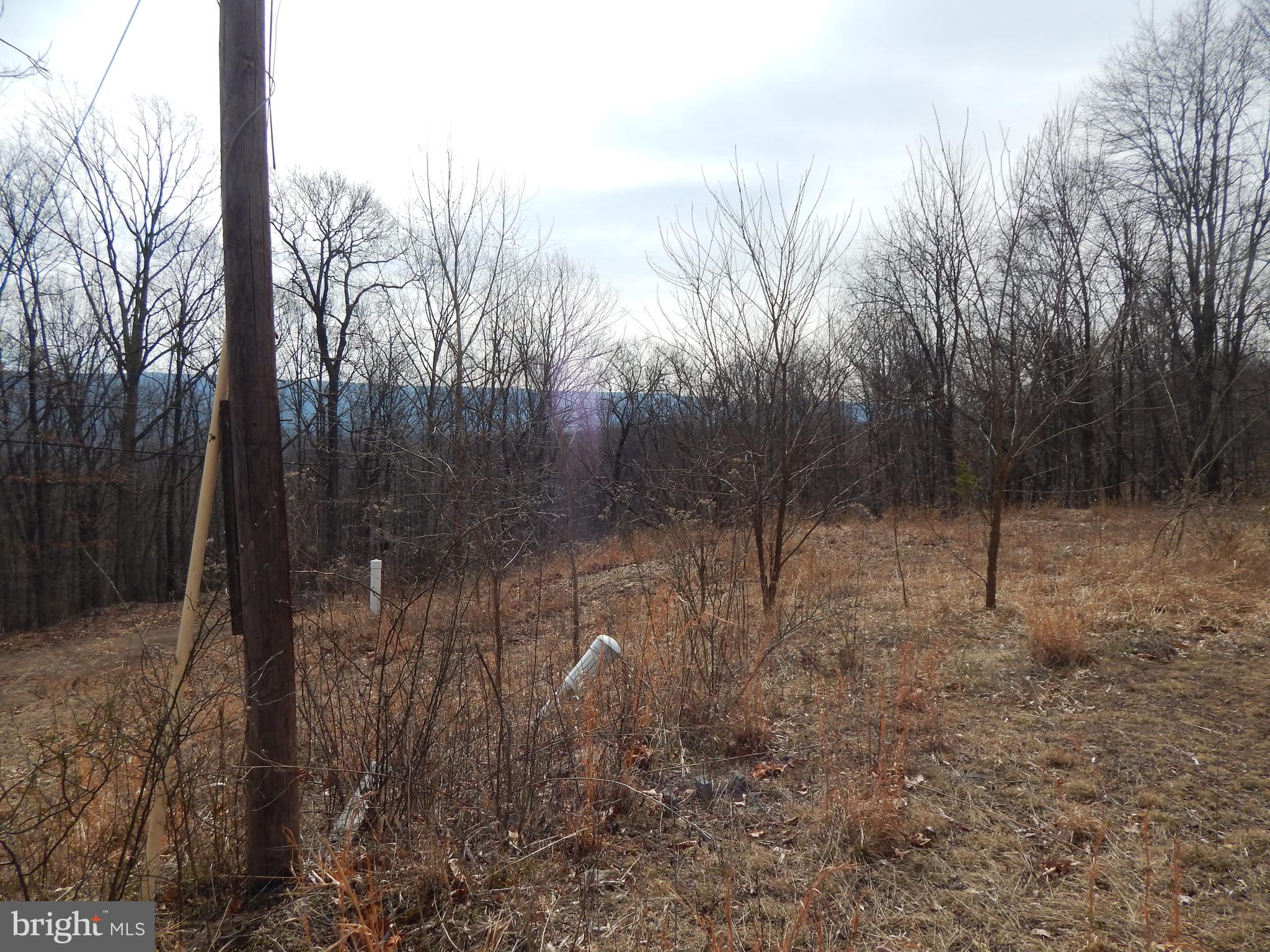 VALLEY HIGH TIMBER FARMS - Land