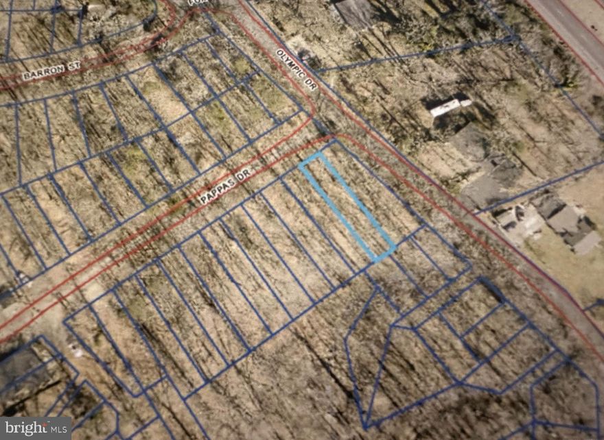 Discover the potential of 8125 Pappas Drive in Manassas! This wooded 0.07-acre lot offers a quiet setting tucked away in the Cornwell subdivision near Lake Jackson. Located just off Route 234, this parcel provides convenient access to major commuter routes while maintaining a private, rural feel. Zoned A-1 (Agricultural) in Prince William County, the land offers flexibility for a variety of uses permitted under this zoning. The property sits along a gravel road and will require the installation of a private well and septic system.  Whether you're looking to invest in land or explore building possibilities in a peaceful, natural setting, this could be the opportunity you’ve been waiting for!