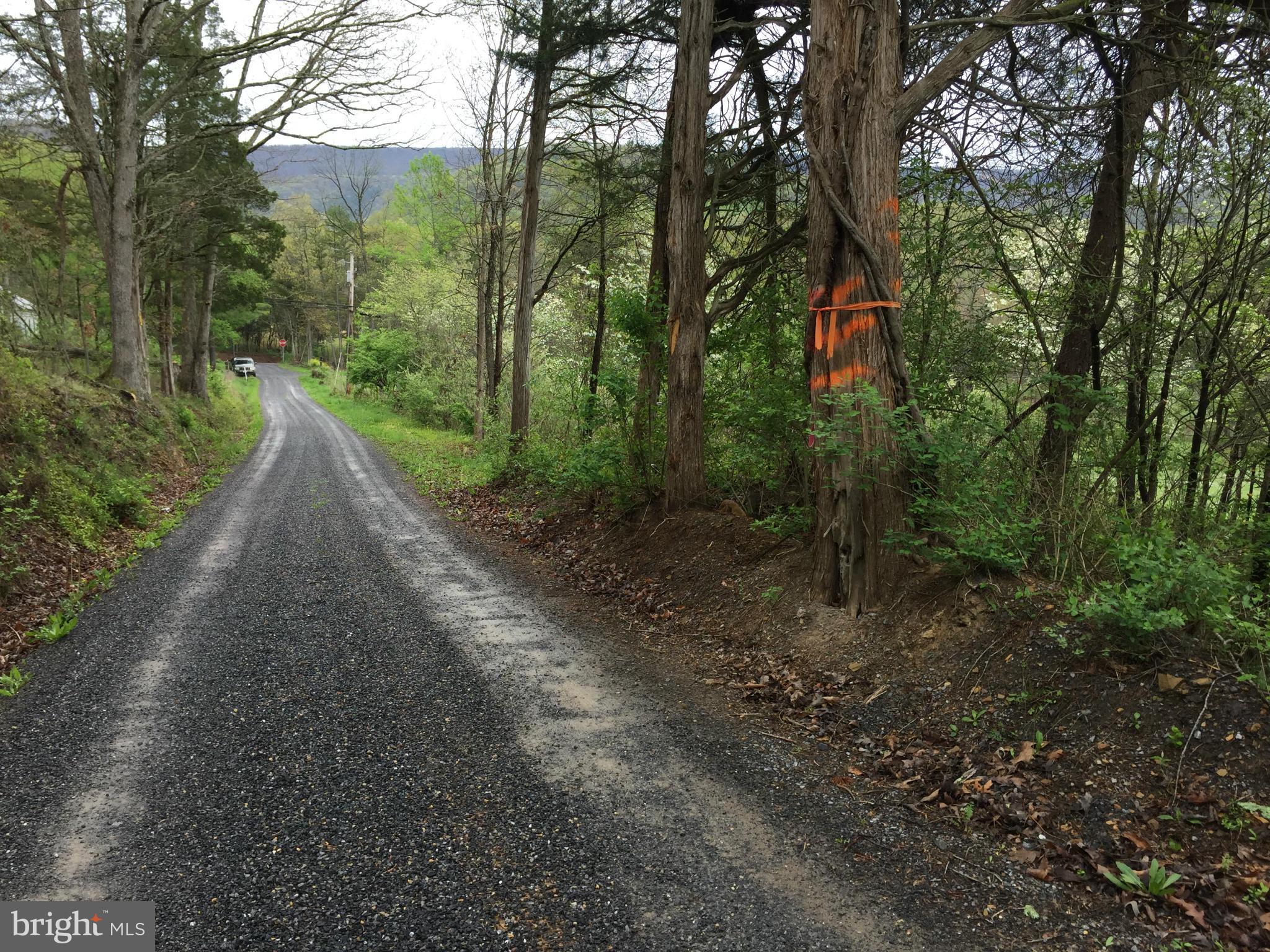 CACAPON DISTRICT - Land