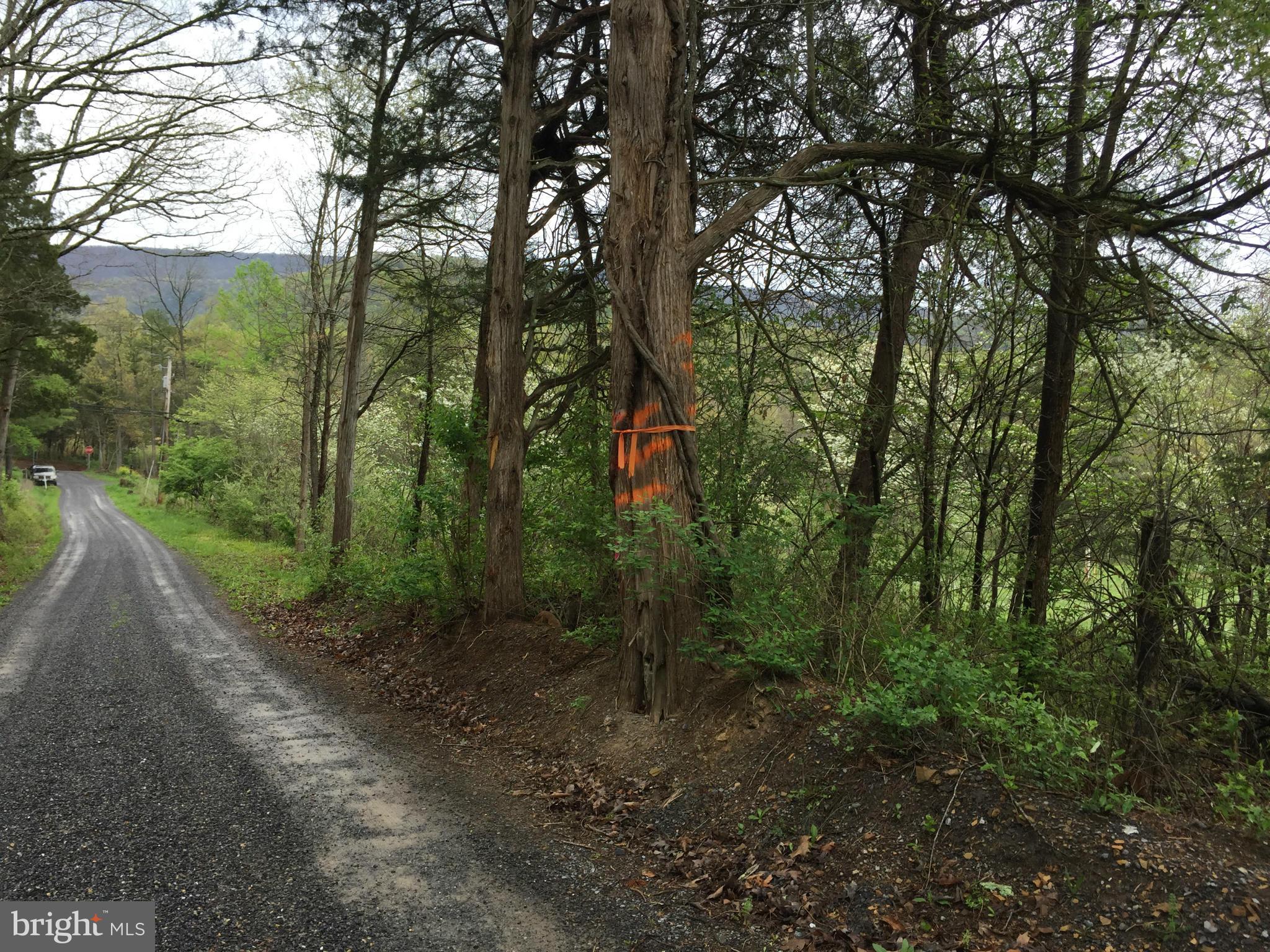 CACAPON DISTRICT - Land