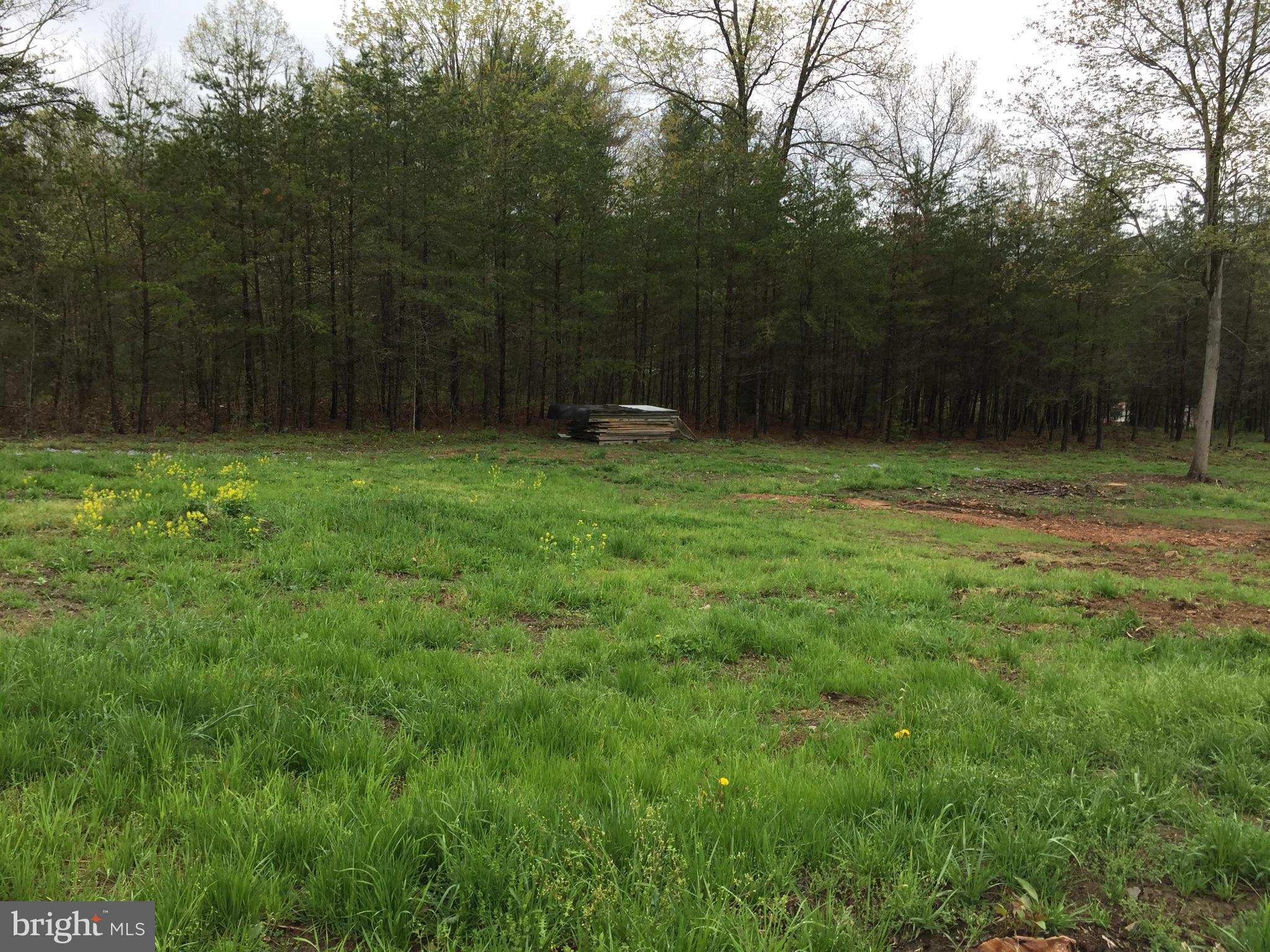 CACAPON DISTRICT - Land