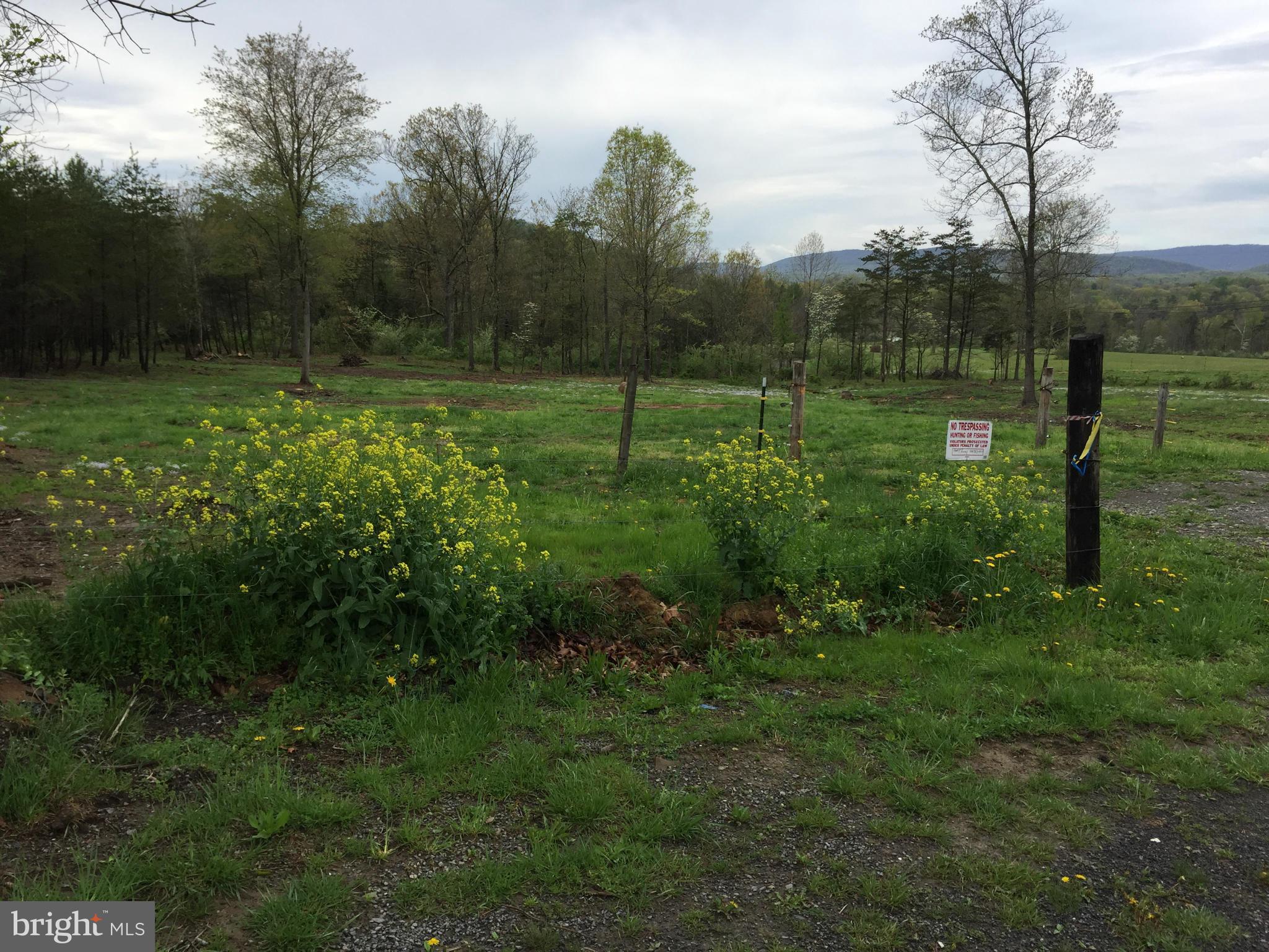 CACAPON DISTRICT - Land