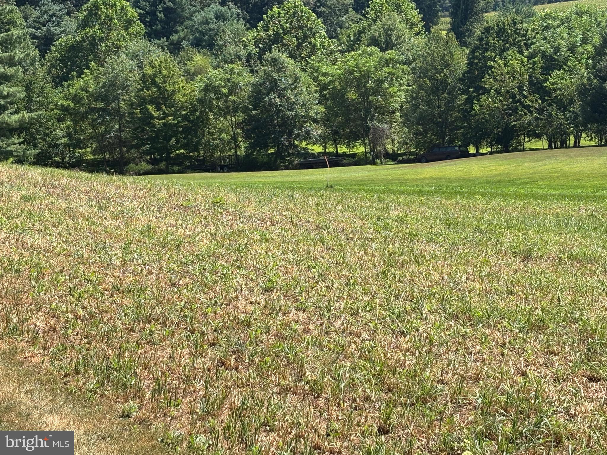 GRACELAND ESTATES - Land