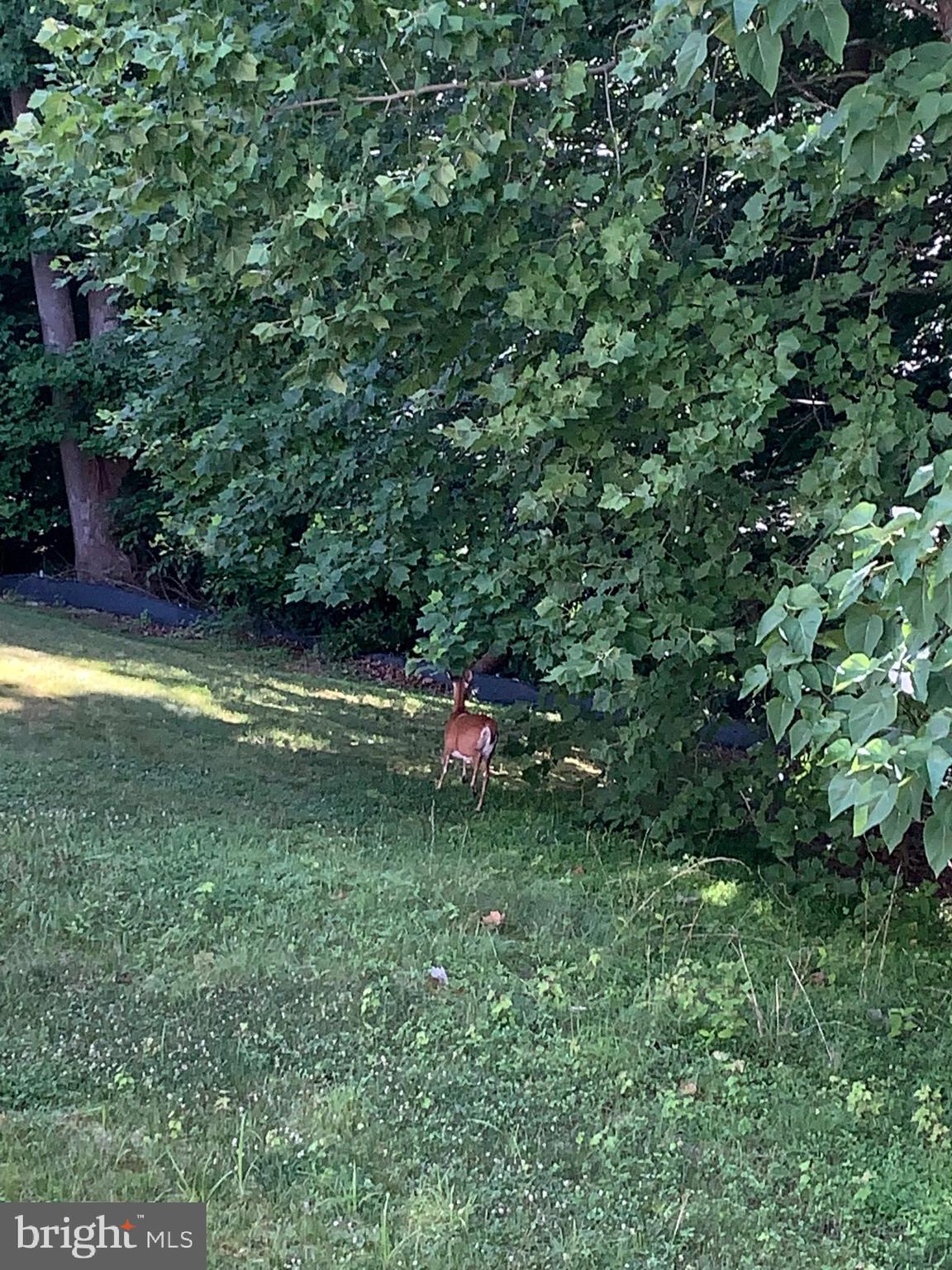 HUNTERS BROOKE - Residential