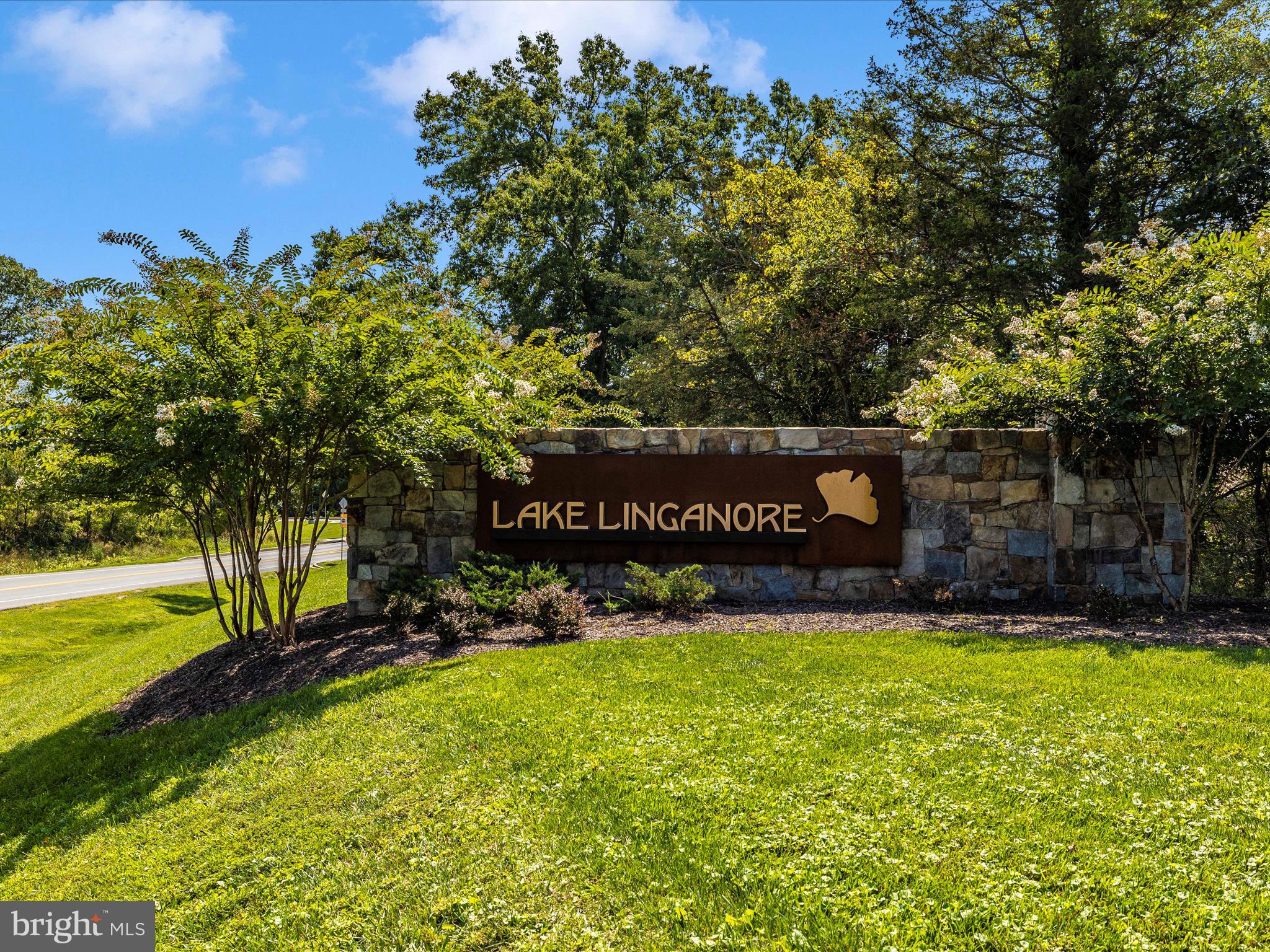 LAKE LINGANORE - Residential