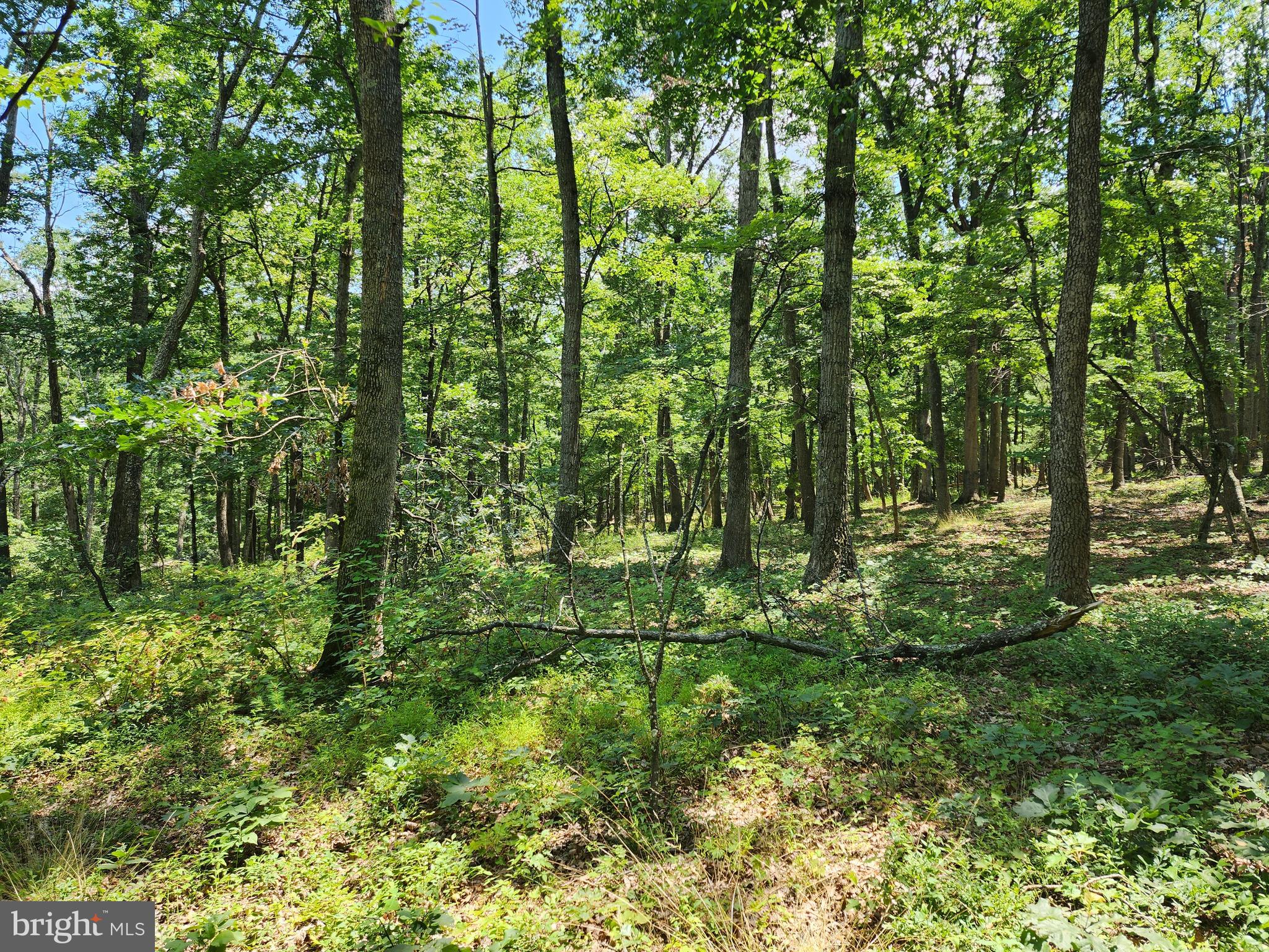 STAGECOACH STOP - Residential