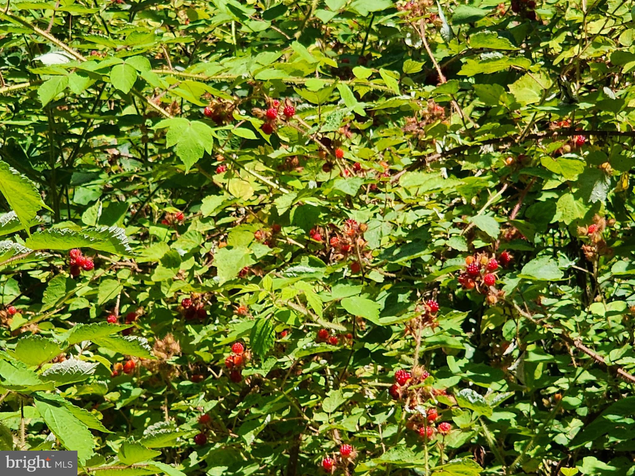 STAGECOACH STOP - Residential