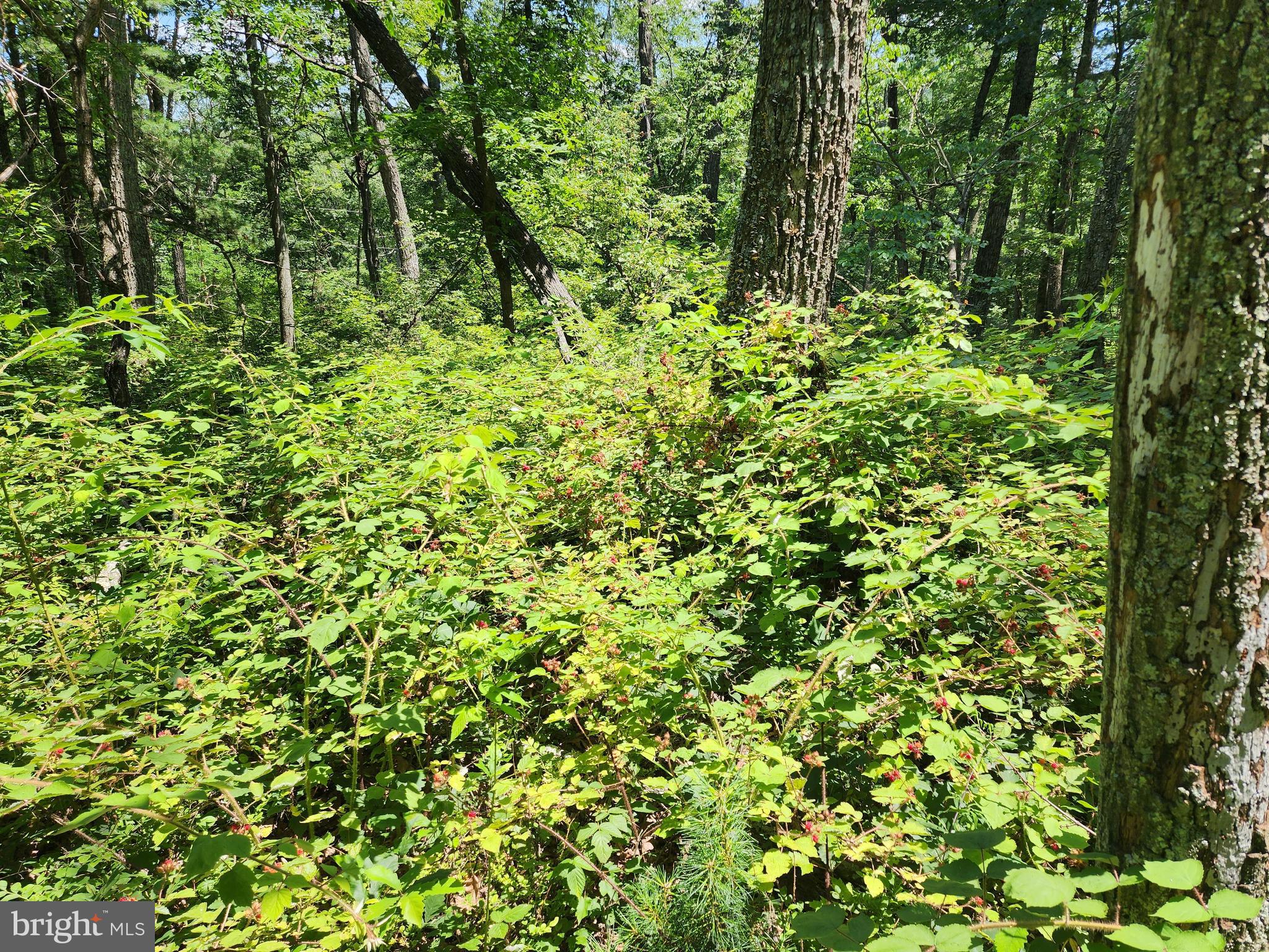 STAGECOACH STOP - Residential