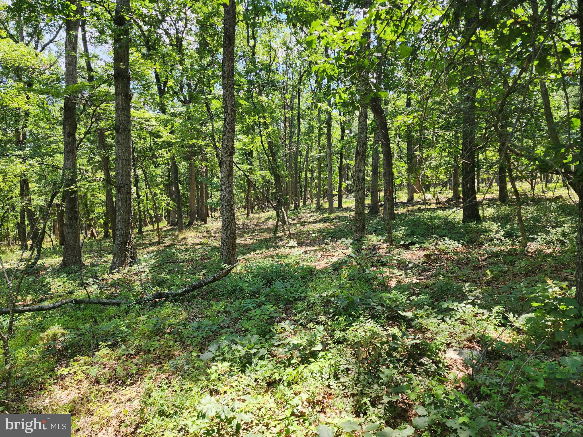 STAGECOACH STOP - Residential