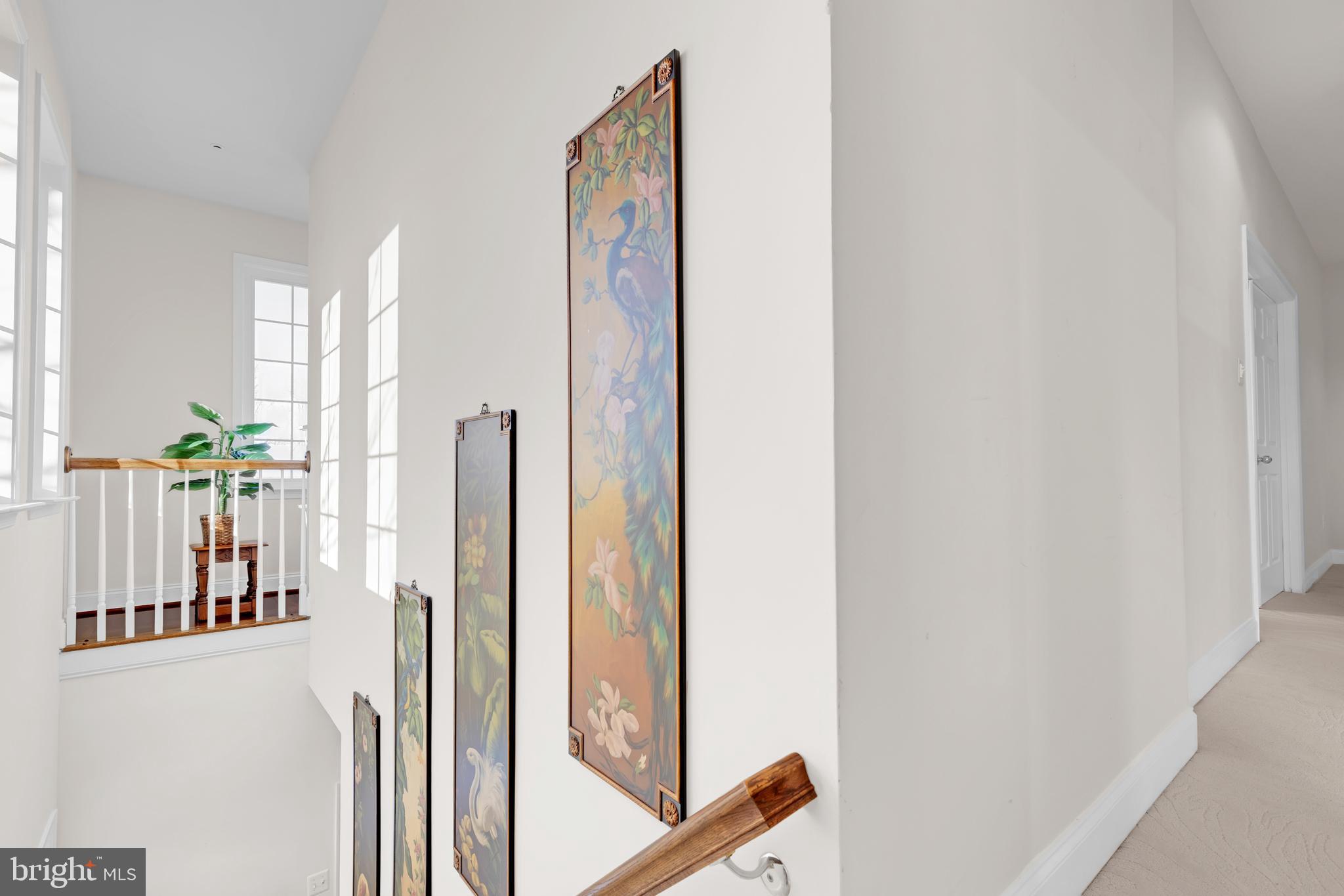 VILLAS AT SNOWDEN OVERLOOK - Residential