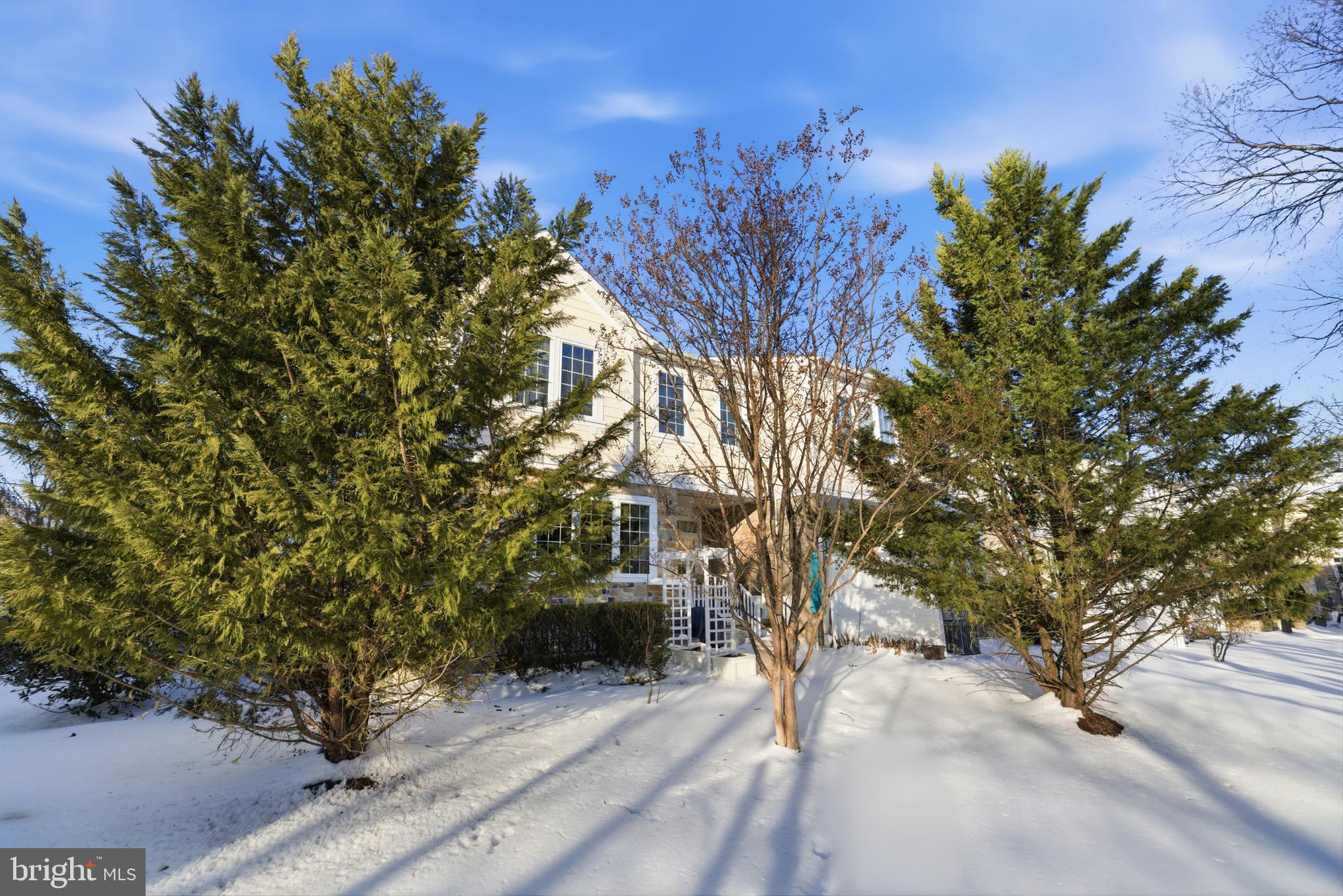 VILLAS AT SNOWDEN OVERLOOK - Residential