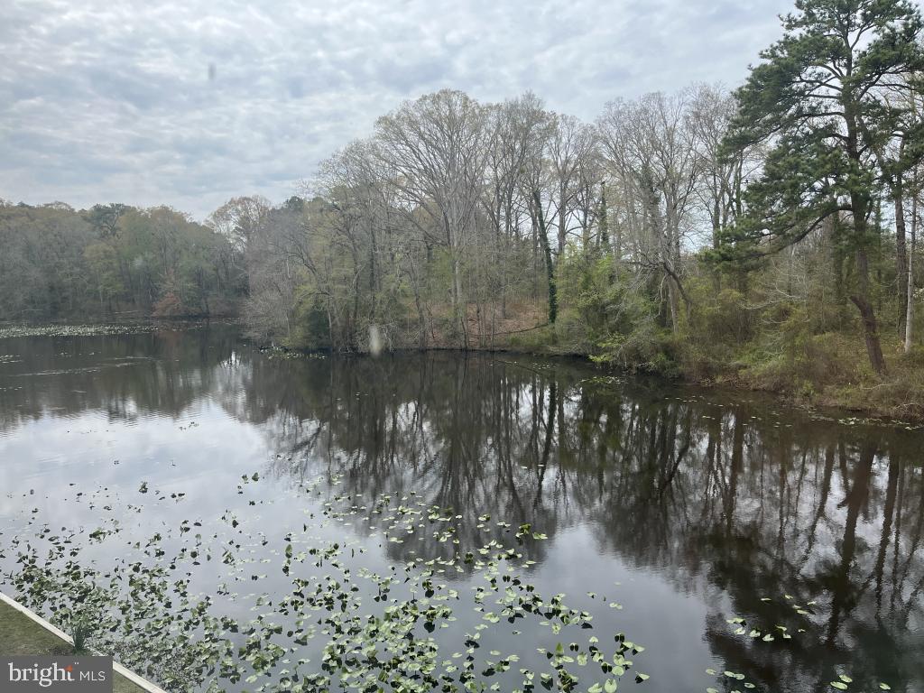 Beautifully Maintained Condo with Stunning Views! Enter comfort and convenience with this meticulously cared-for, one-level condo featuring two spacious bedrooms and two full bathrooms. Enjoy the ease of in-unit, full-size washer and dryer, along with a generous living room and a separate dining area perfect for both relaxing and entertaining. There are water views of Tony Tank Pond from the bedrooms and a private balcony from the living room. Located in a peaceful neighborhood just a short distance from Salisbury University, this home offers the ideal blend of quiet living and city accessibility. You're also minutes away from shopping, dining, Salisbury Park, Tidal Health and a variety of local attractions. Whether you're a first-time buyer, downsizing or looking for an investment property, this condo checks all the boxes!