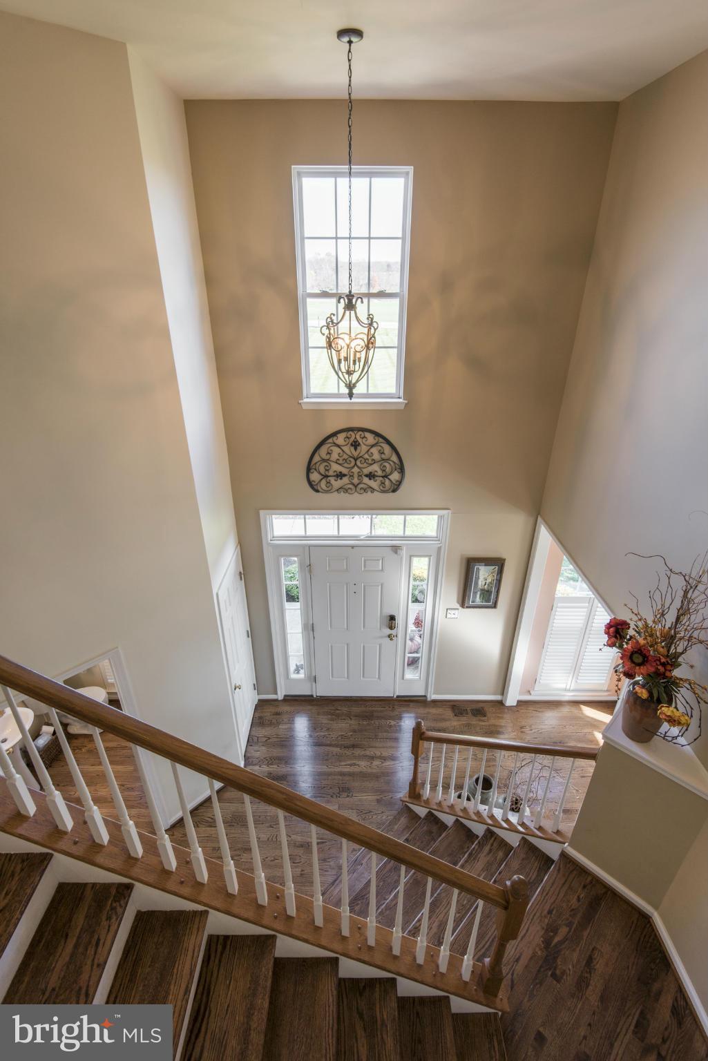 PELHAM MANOR - Residential