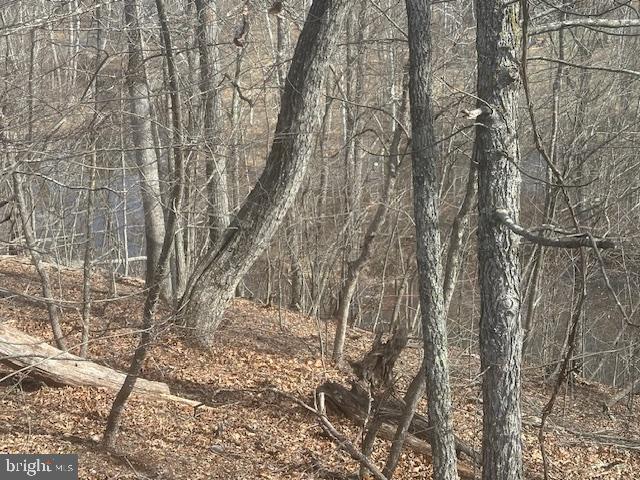 LAKE HOLIDAY ESTATES - Land