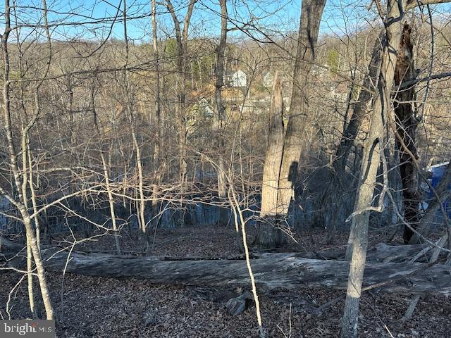 LAKE HOLIDAY ESTATES - Land