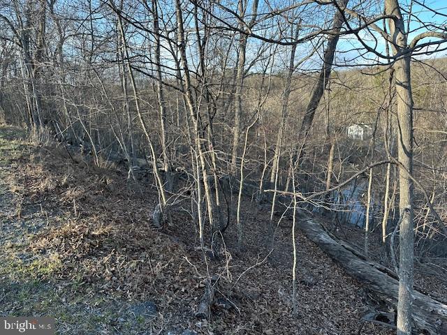 LAKE HOLIDAY ESTATES - Land