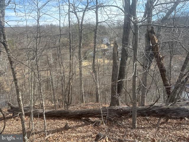 LAKE HOLIDAY ESTATES - Land