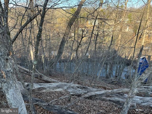 LAKE HOLIDAY ESTATES - Land