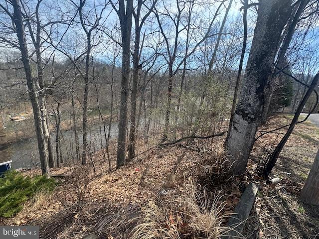 LAKE HOLIDAY ESTATES - Land