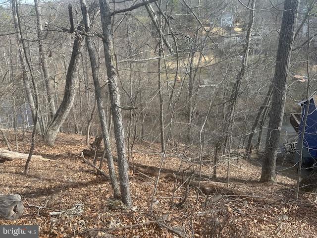 LAKE HOLIDAY ESTATES - Land