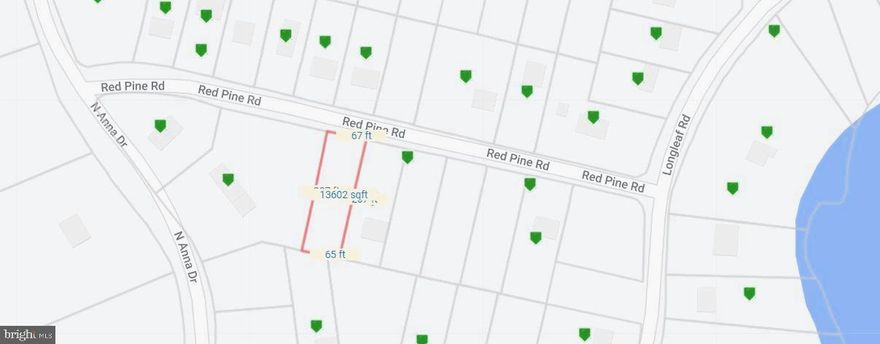 At Lake DeJarnette enjoy recreational activities such as boating, canoeing, and fishing! You'll also find plenty of opportunities for hiking, walking, swimming, sunbathing, and kids will enjoy the reading center. Not to forget the playgrounds and a 24-hour fitness room that further enrich the experience. Caroline Pines offers a perfect setting to build your dream lake house. AMENITIES: A fully-equipped Fitness Center available 24/7, Swimming Pool, a separate pool for toddlers, a Playground and Park, Community Room, access to the Beach and Swimming area, and a Community Track suitable for both walking and running.