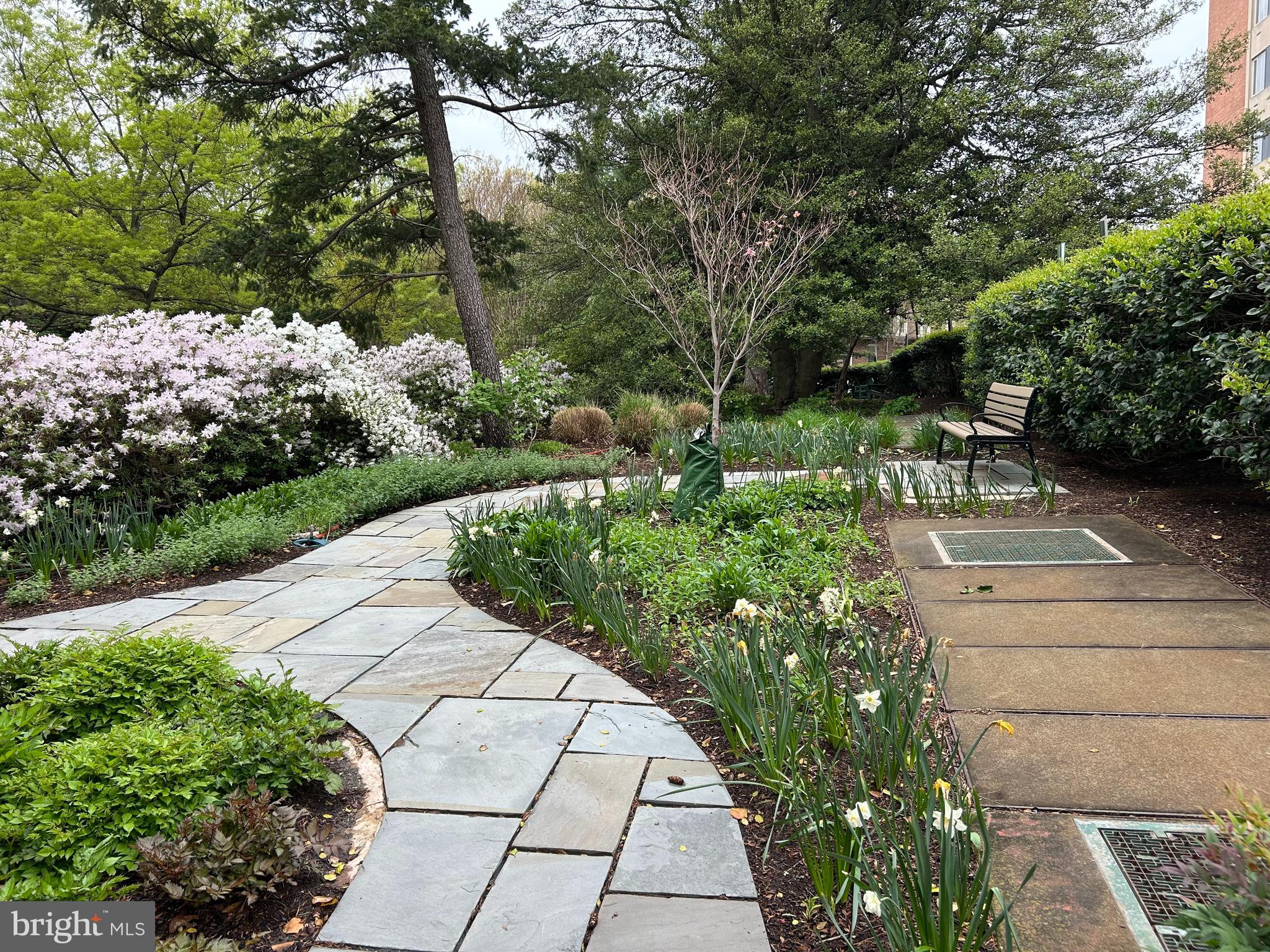 4301 MASSACHUSETTS AVENUE NW 7001