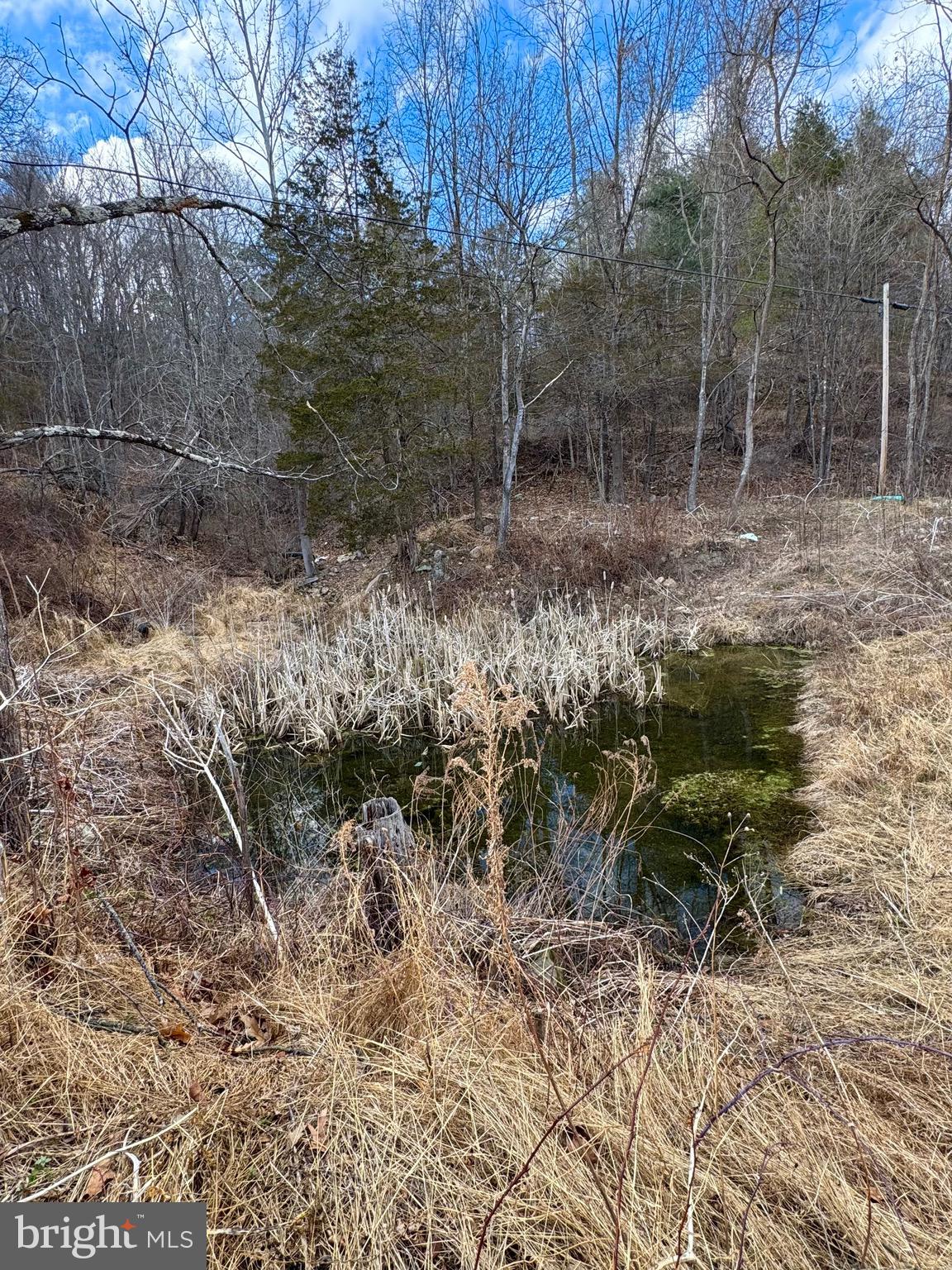 BRANDYWINE - Residential