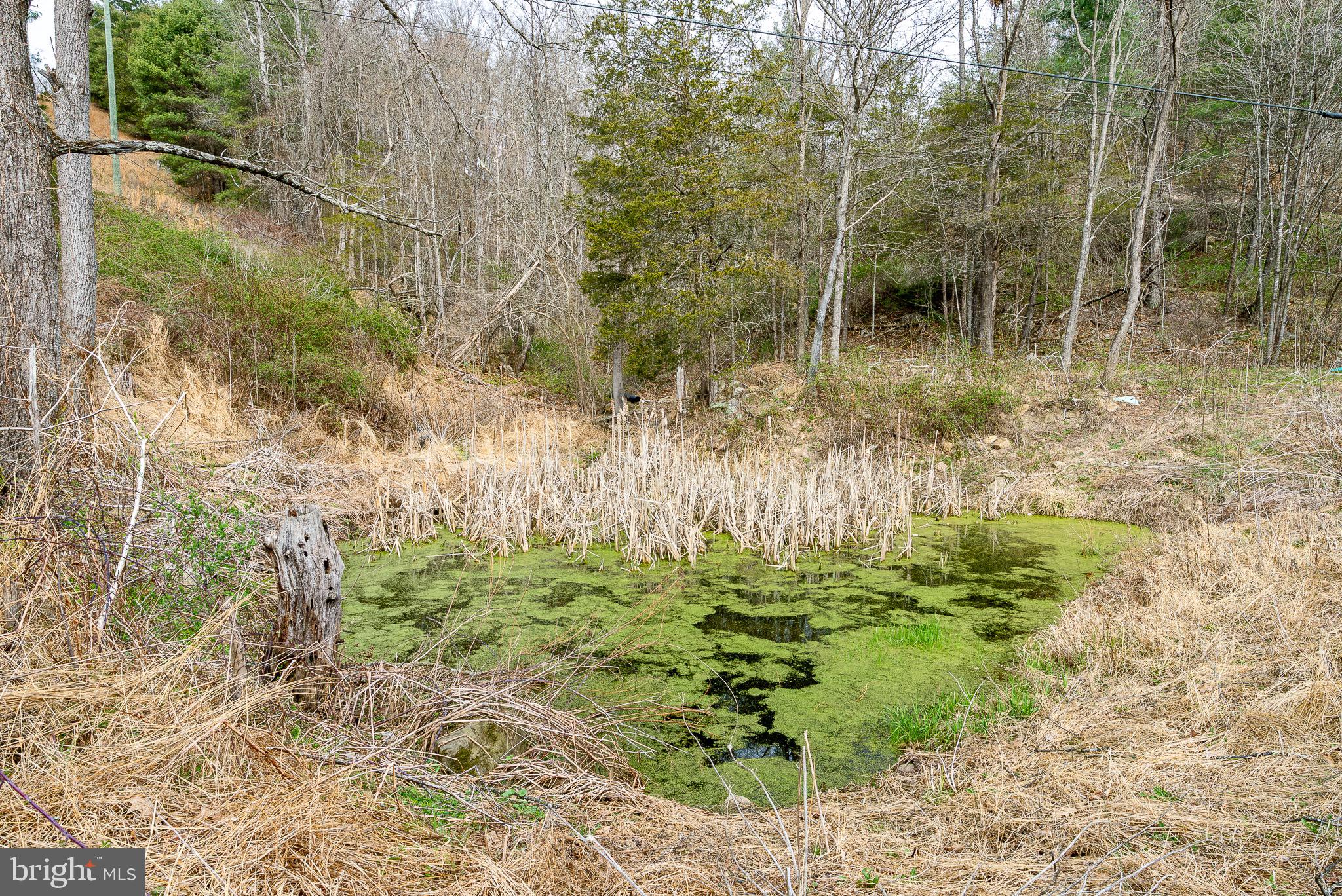 BRANDYWINE - Residential