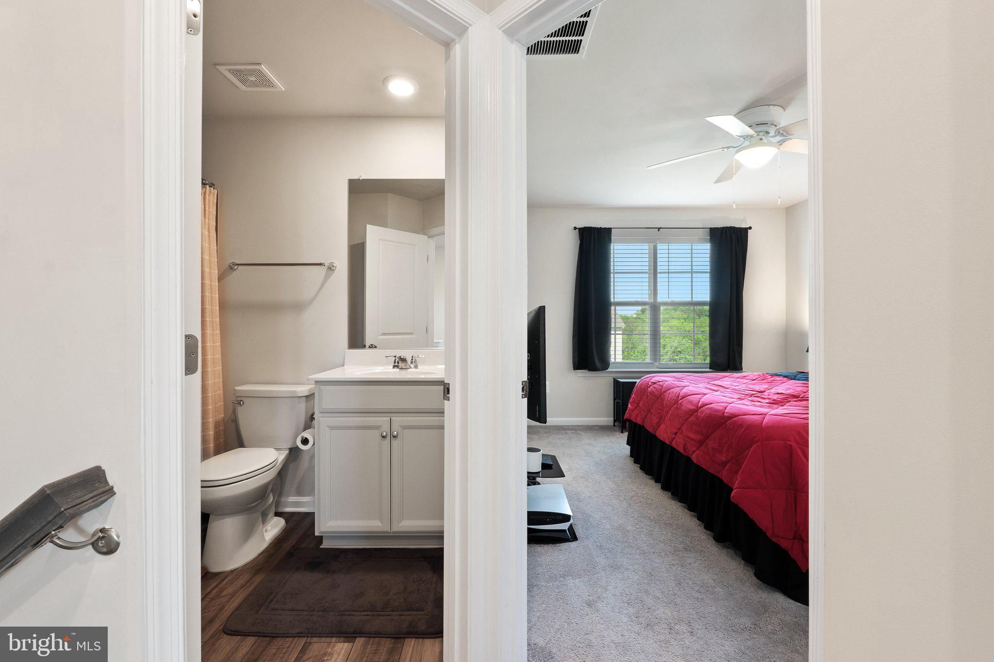 NORBORNE GLEBE - Residential