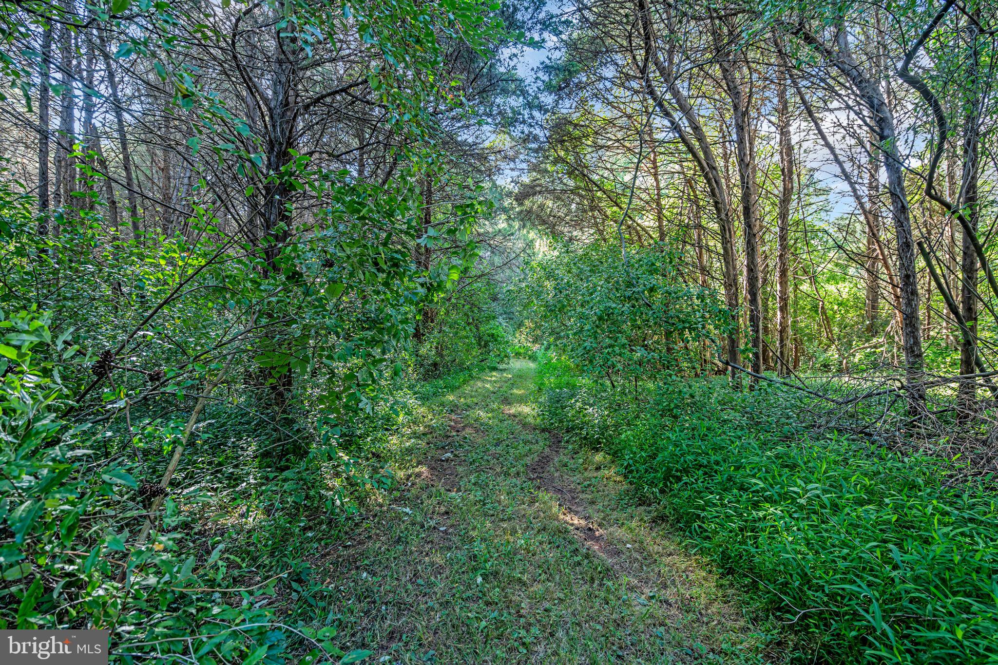 WINDING CREEK ESTATES - Residential