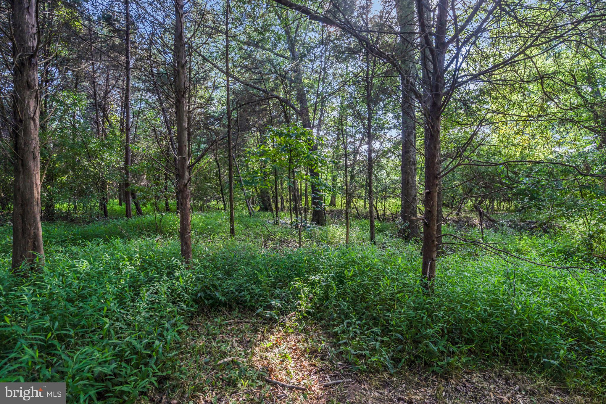 WINDING CREEK ESTATES - Residential