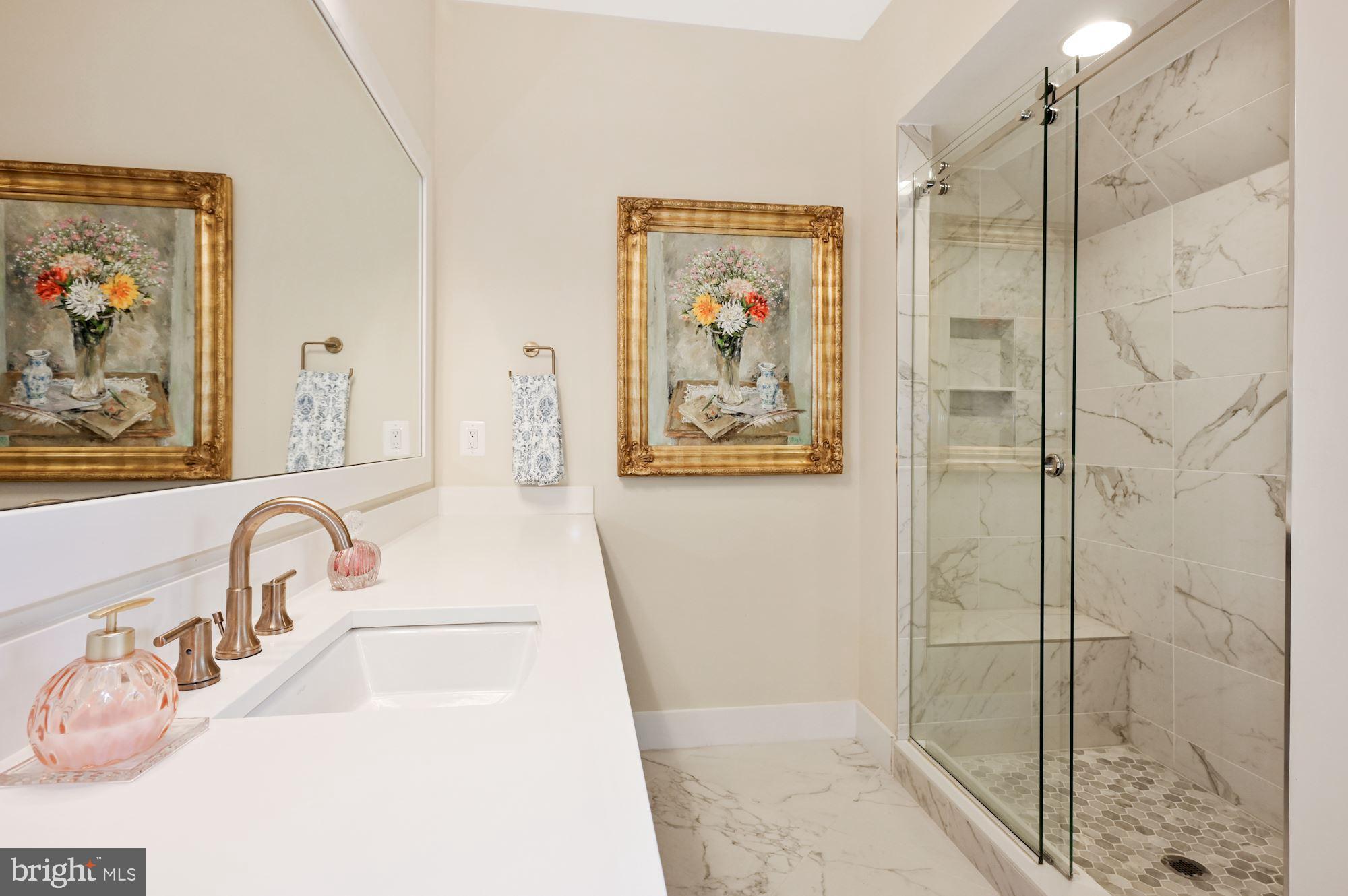 CHEVY CHASE VIEW - Residential