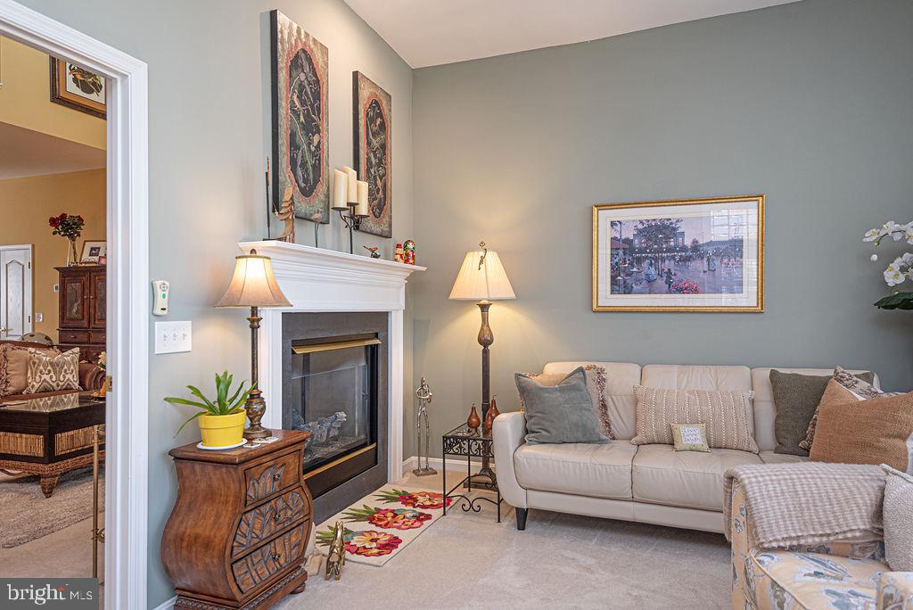 OCEAN PINES - THE PARKE - Residential